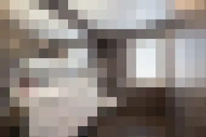 Warmelo 13 Raalte thumbnail 24