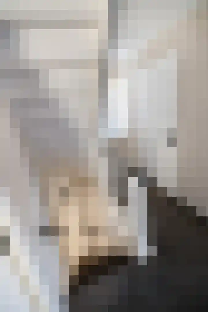 Warmelo 13 Raalte thumbnail 27