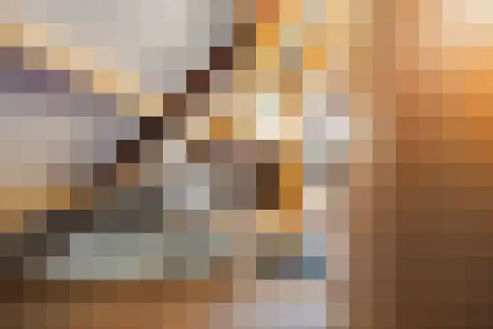 Warmelo 13 Raalte thumbnail 28