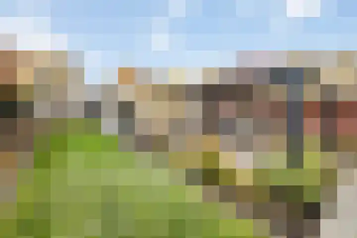 Warmelo 13 Raalte thumbnail 35