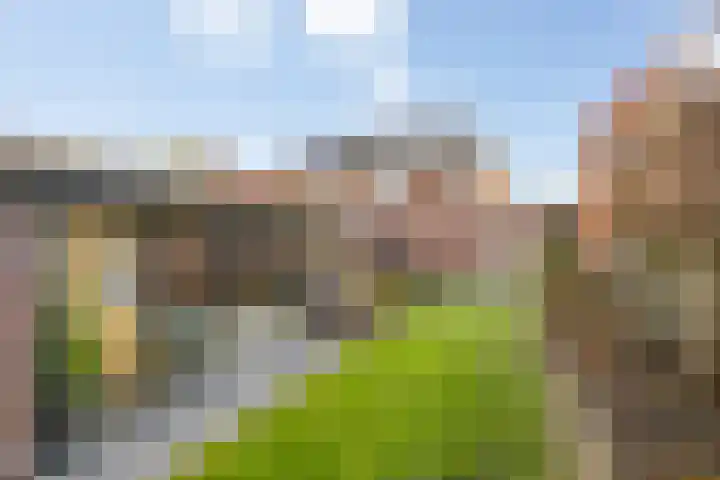 Warmelo 13 Raalte thumbnail 39