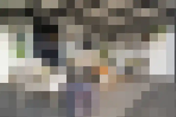 Warmelo 13 Raalte thumbnail 44