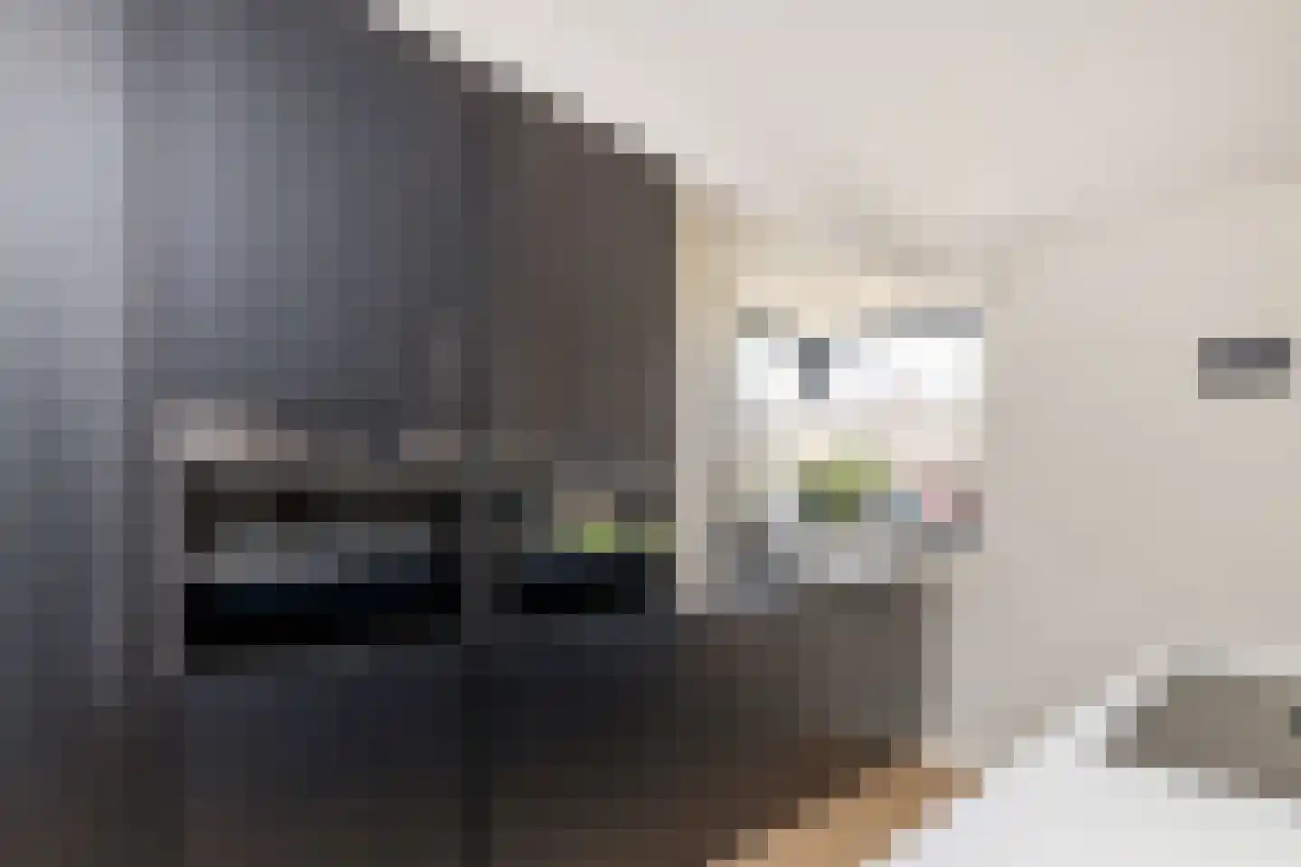 Warmelo 14 Raalte thumbnail 19