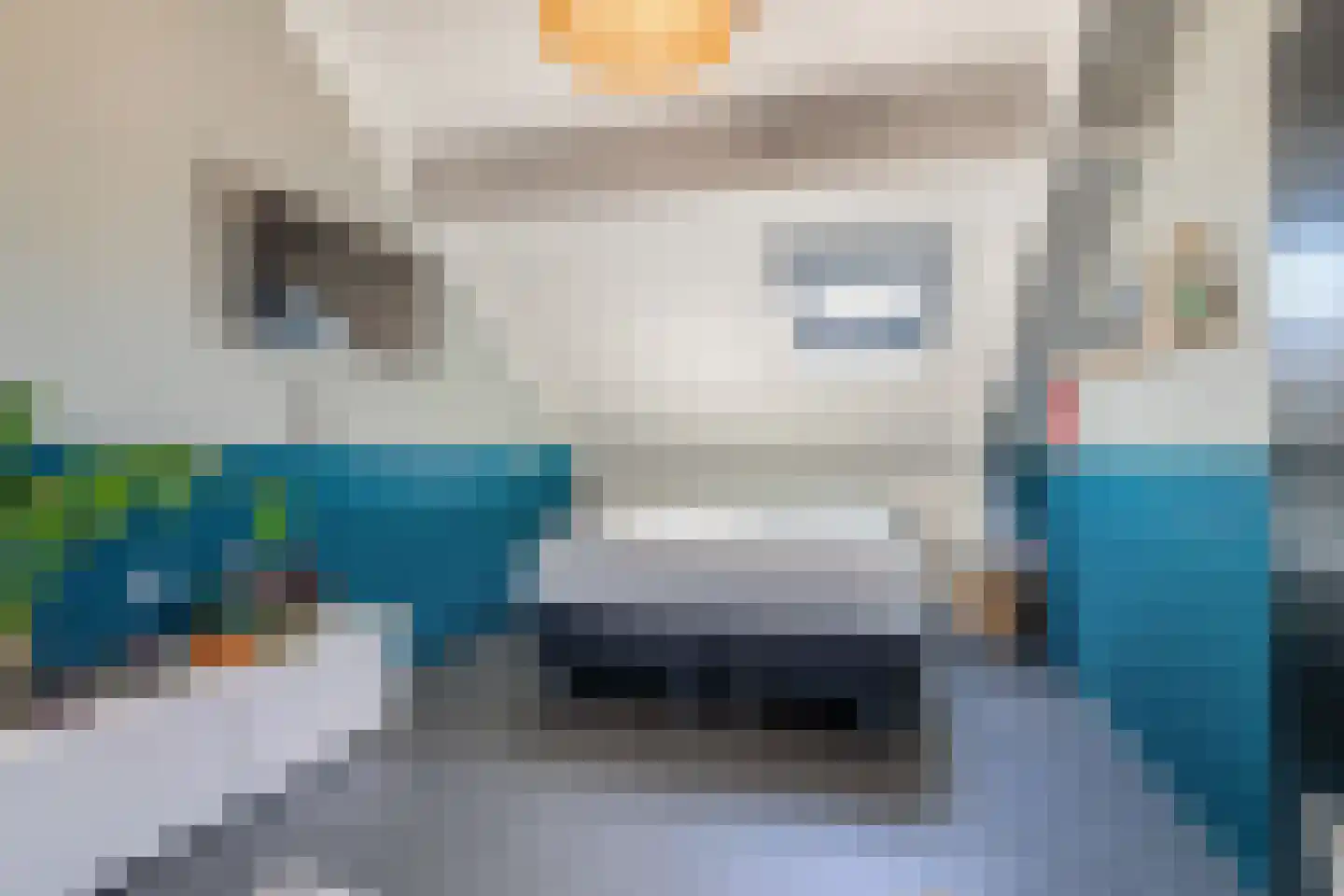 Warmelo 14 Raalte thumbnail 37