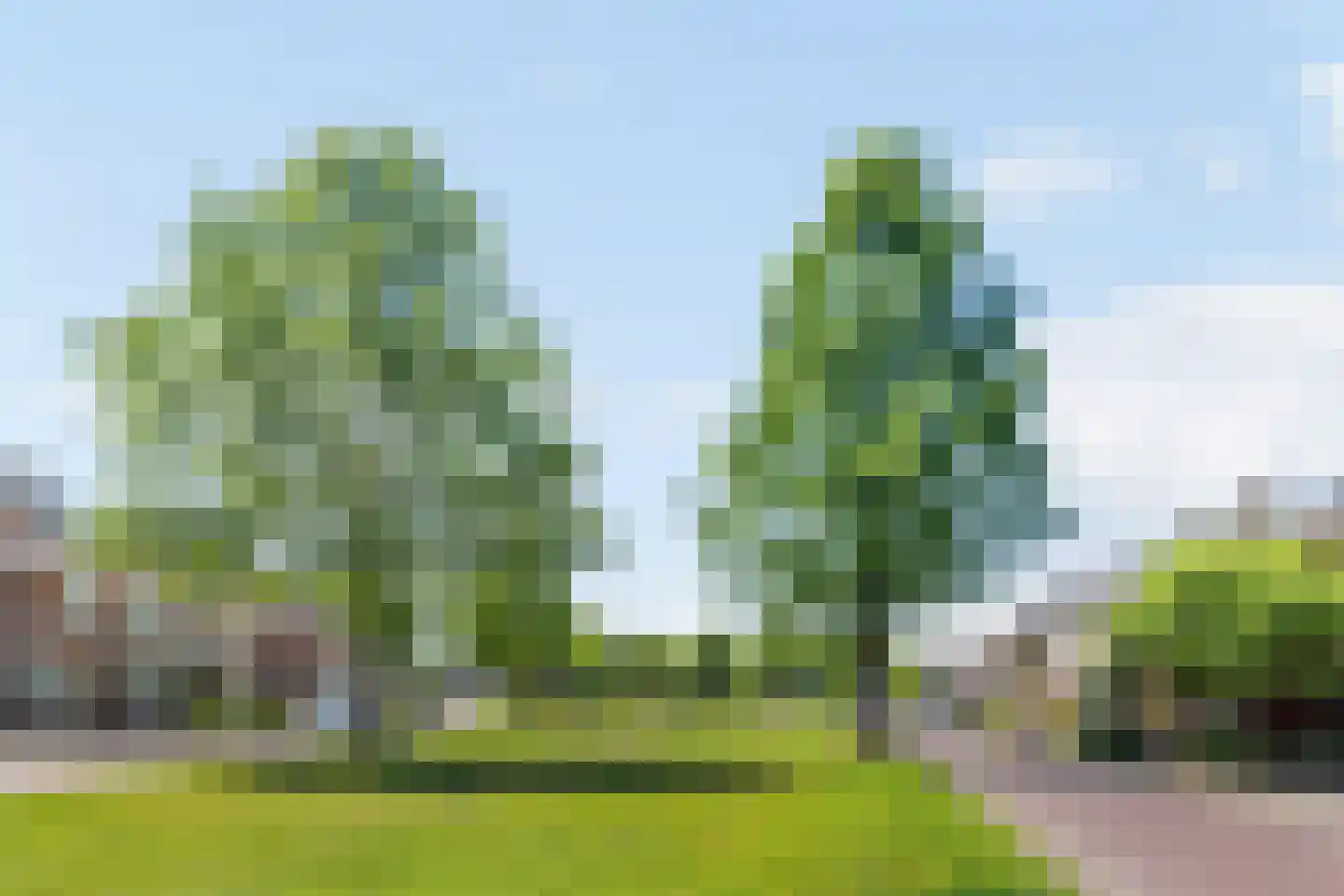 Warmelo 14 Raalte thumbnail 7