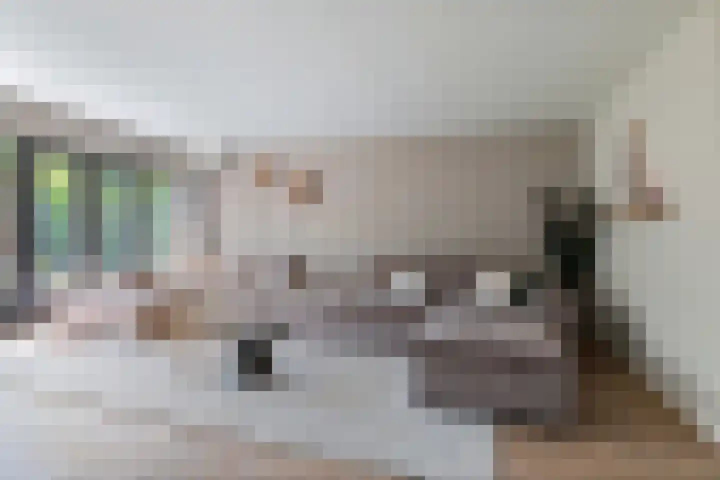Warmelo 14 Raalte thumbnail 8