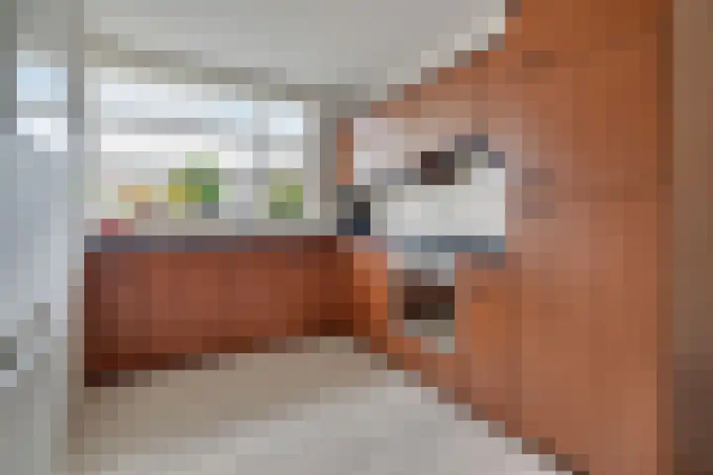 Warmelo 2 Losser thumbnail 14