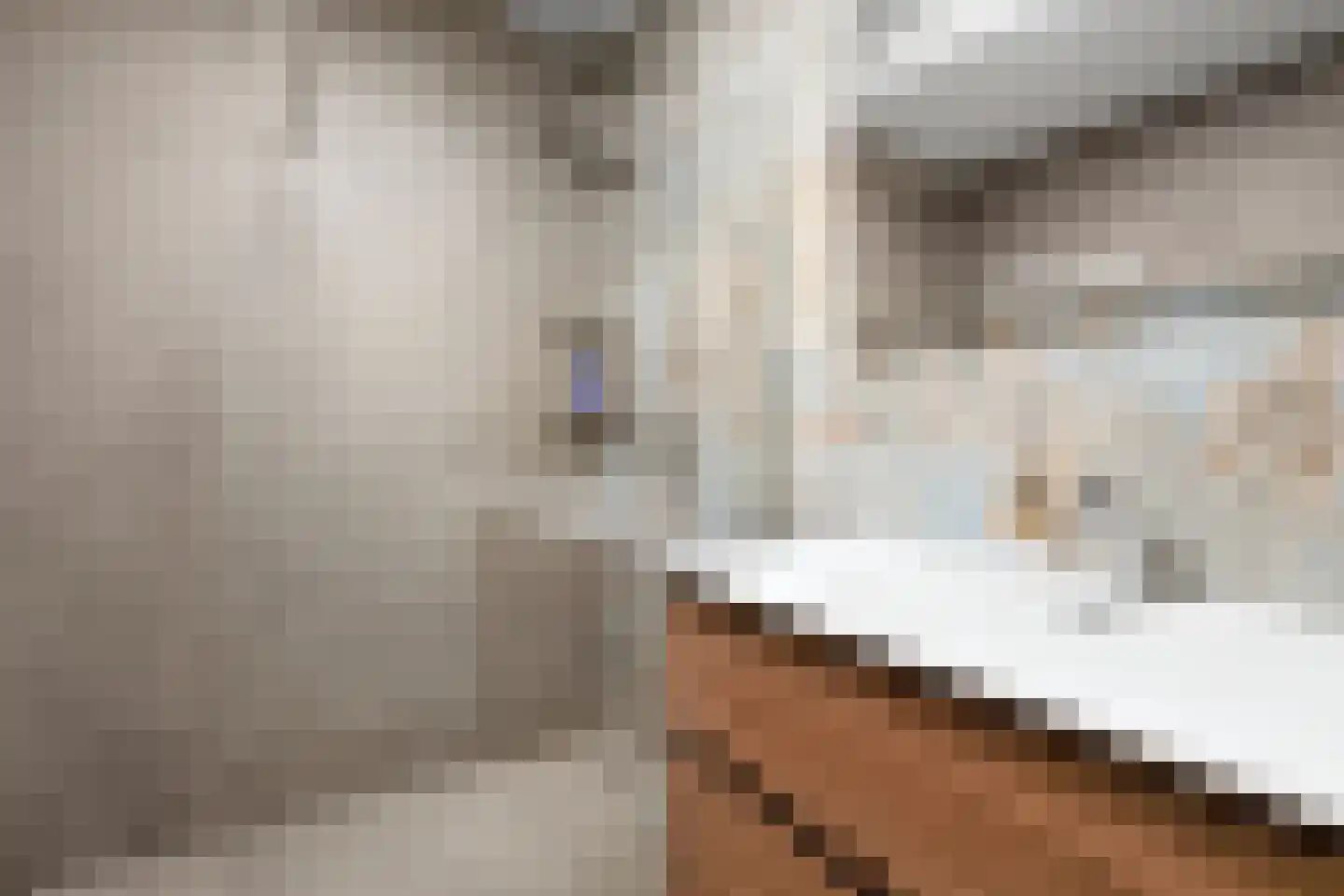 Warmelo 2 Losser thumbnail 21