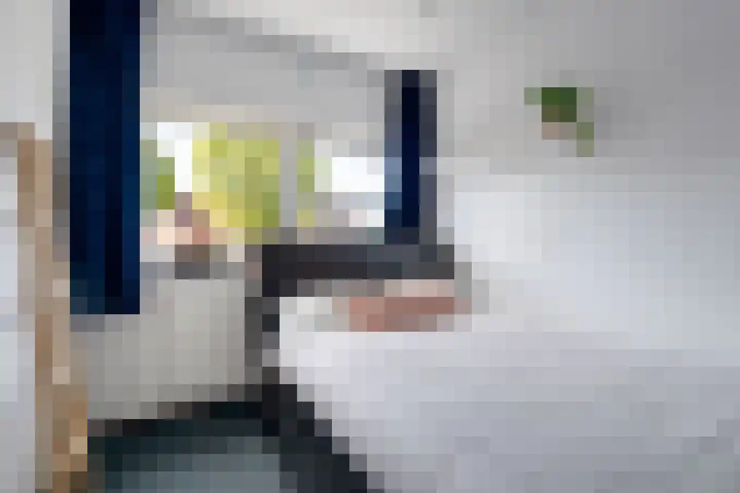 Warmelo 2 Losser thumbnail 25