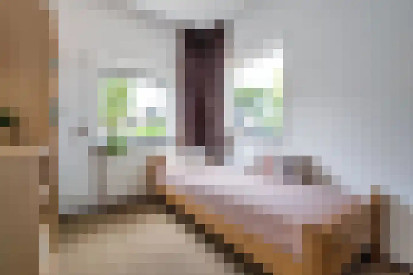 Warmelo 2 Losser thumbnail 27