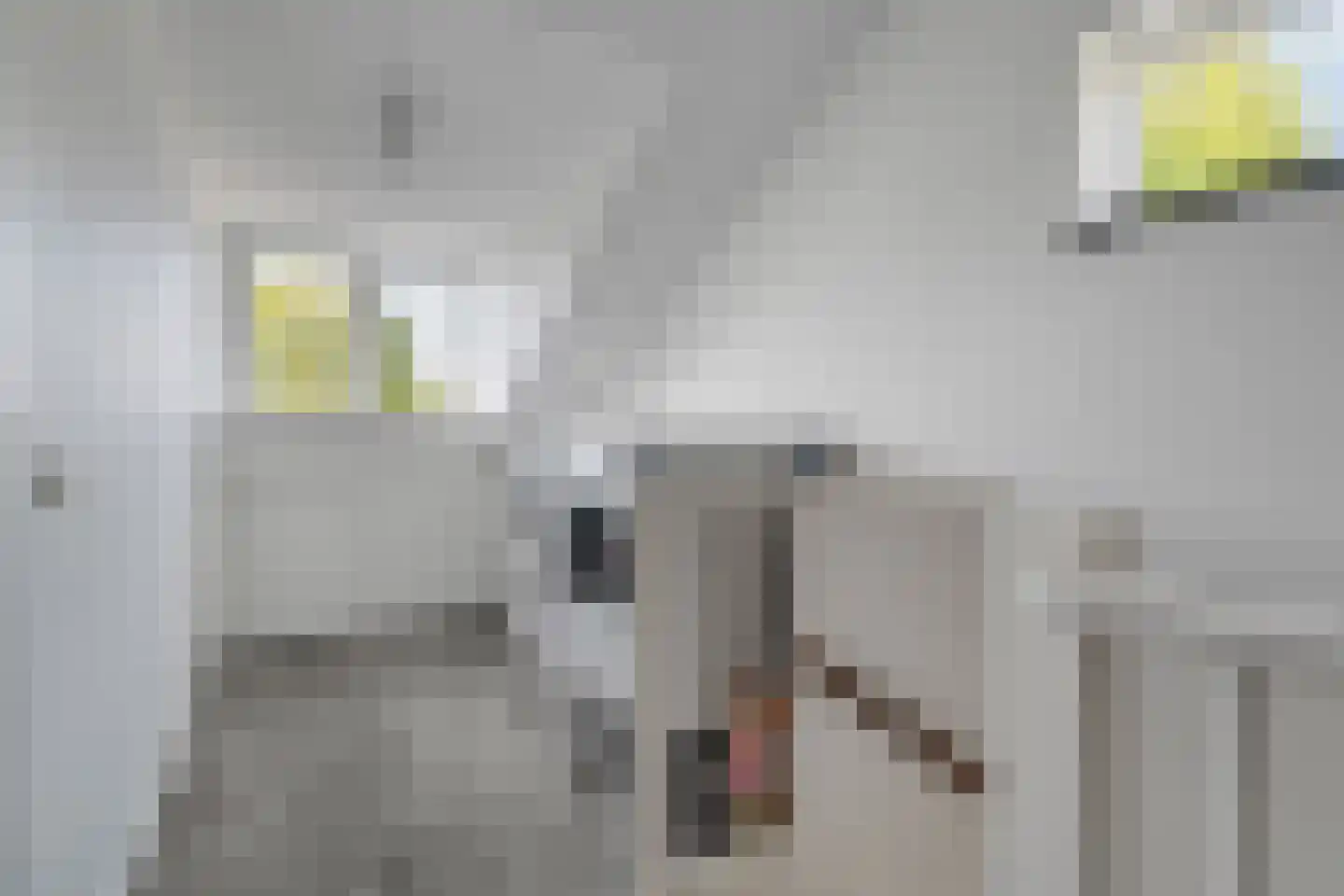Warmelo 2 Losser thumbnail 29