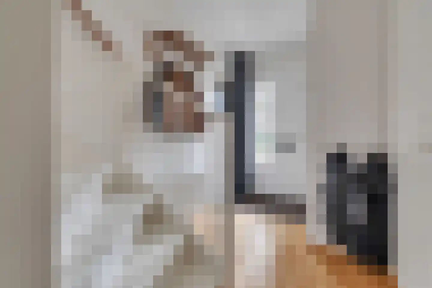 Warmelo 2 Losser thumbnail 5