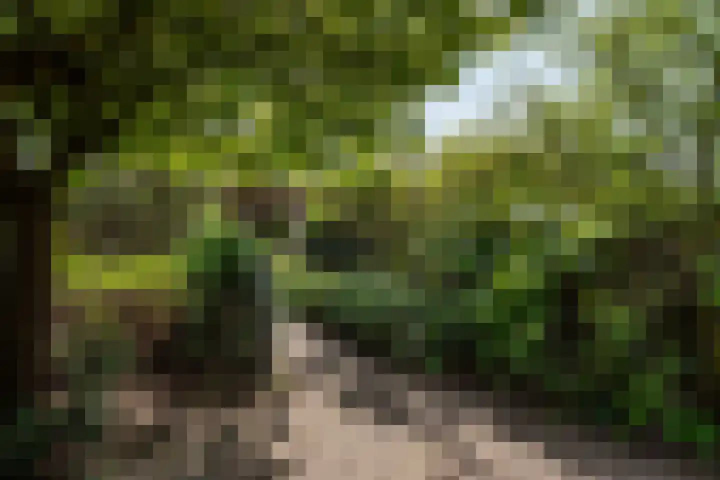Warmelo 25 Eindhoven thumbnail 28