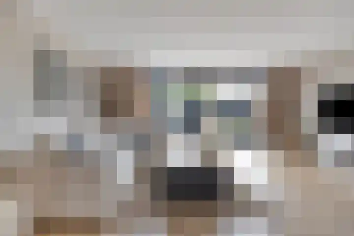Warmelo 36 Losser thumbnail 10