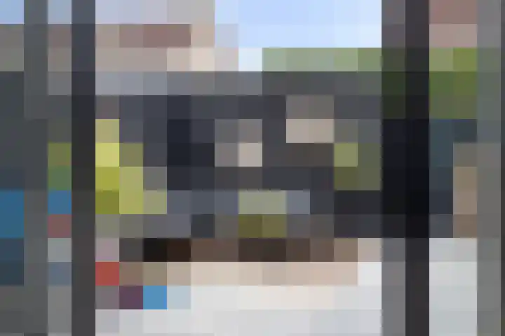 Warmelo 36 Losser thumbnail 15