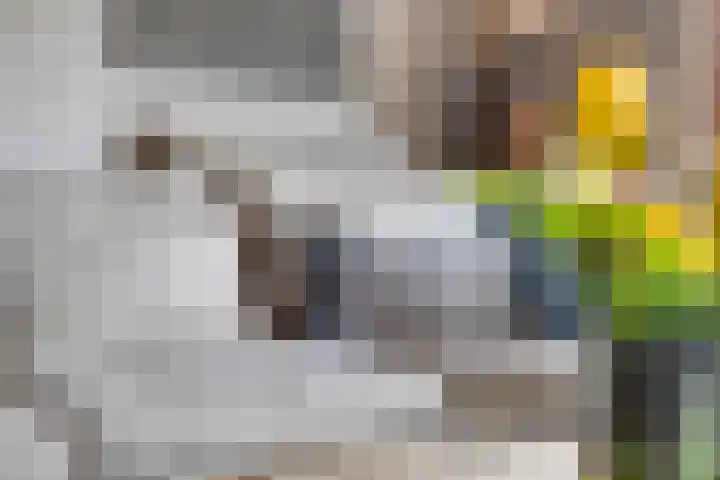 Warmelo 36 Losser thumbnail 16