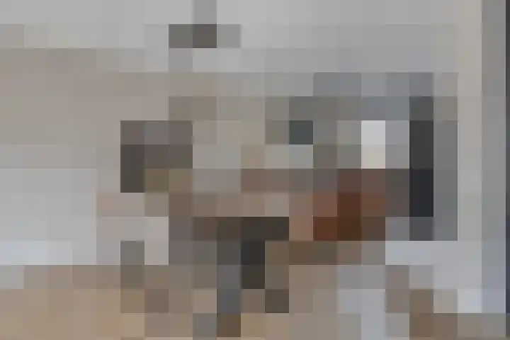 Warmelo 36 Losser thumbnail 17