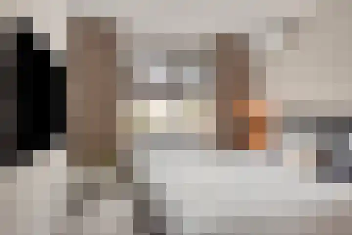 Warmelo 36 Losser thumbnail 23