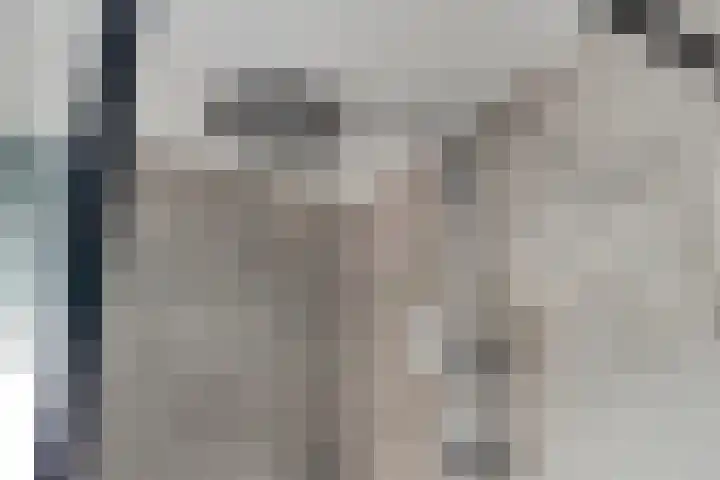 Warmelo 36 Losser thumbnail 27
