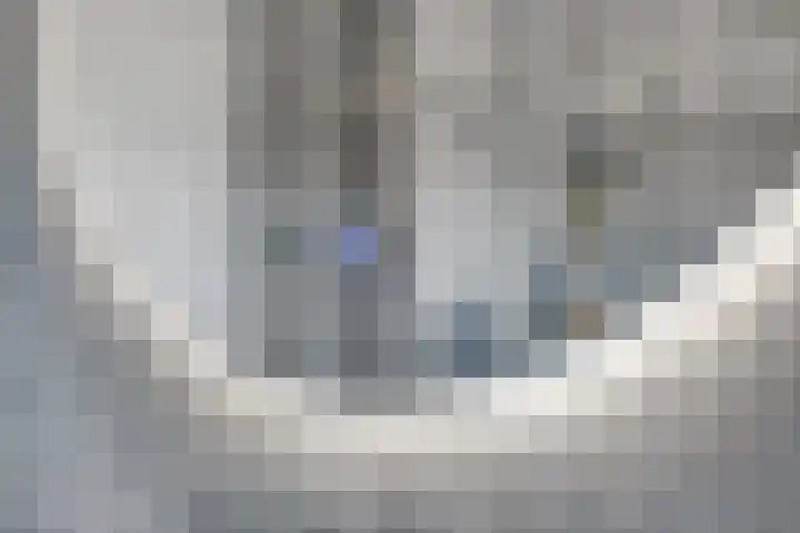 Warmelo 36 Losser thumbnail 28