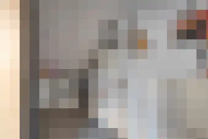 Warmelo 36 Losser thumbnail 31