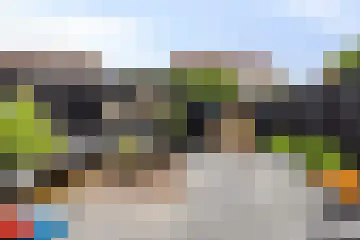 Warmelo 36 Losser thumbnail 34
