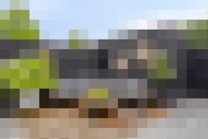 Warmelo 36 Losser thumbnail 35