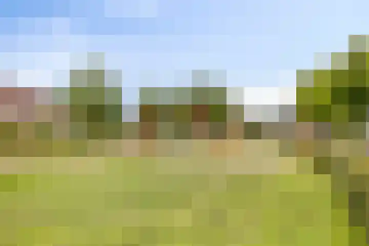 Warmelo 36 Losser thumbnail 38