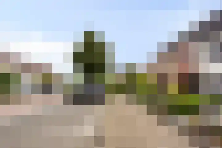 Warmelo 36 Losser thumbnail 5