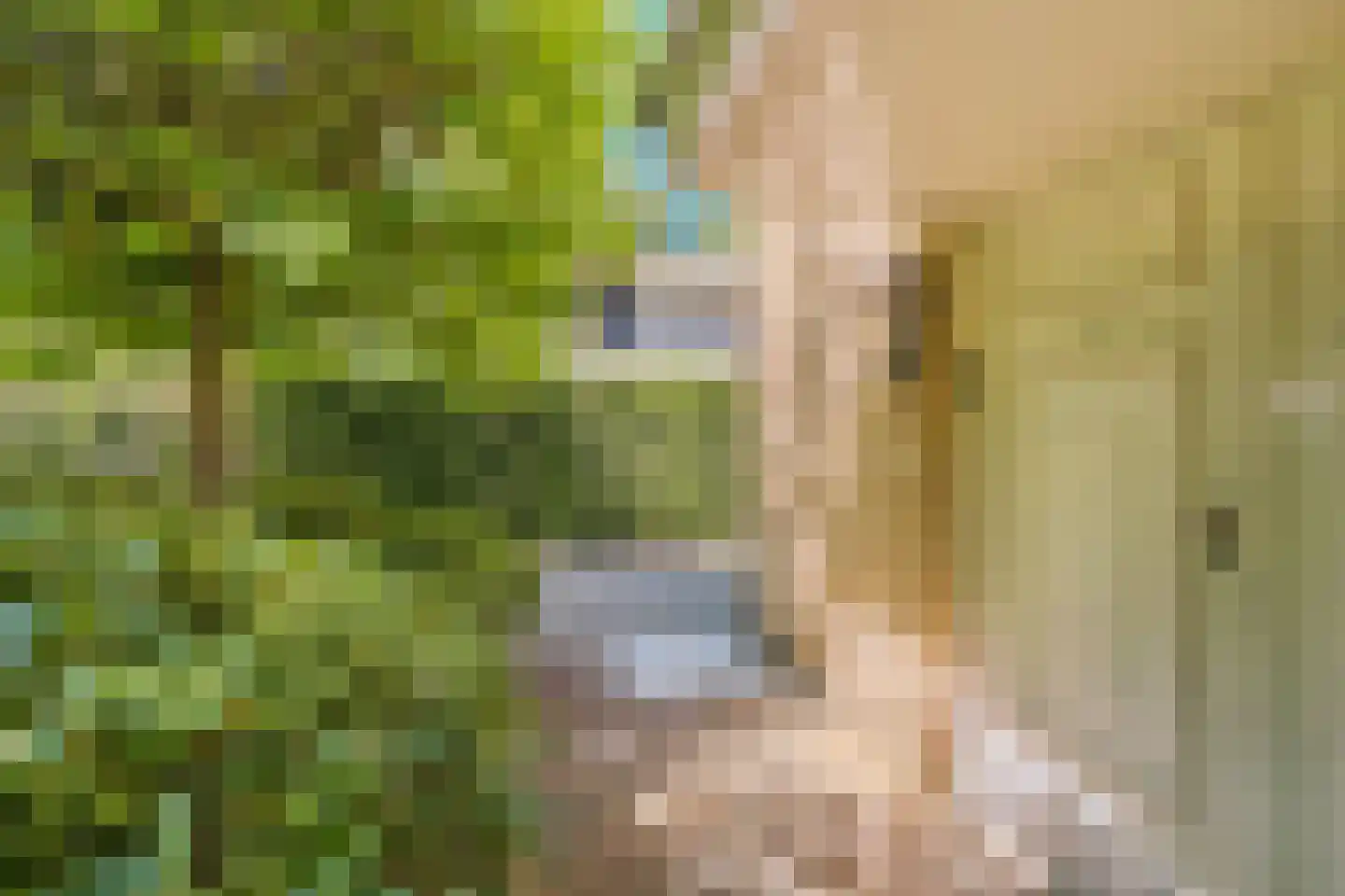 Warmelo 5 Amsterdam thumbnail 8