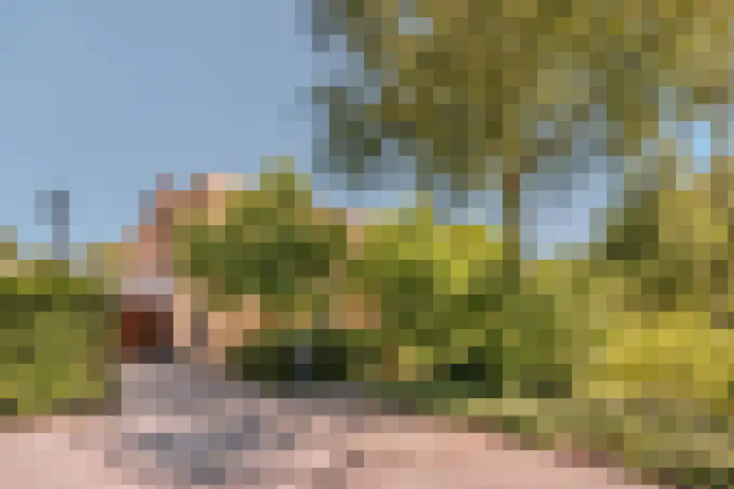 Warmelo 5 Amsterdam thumbnail 9