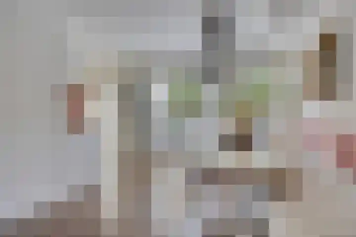 Warmelo 9 Losser thumbnail 14