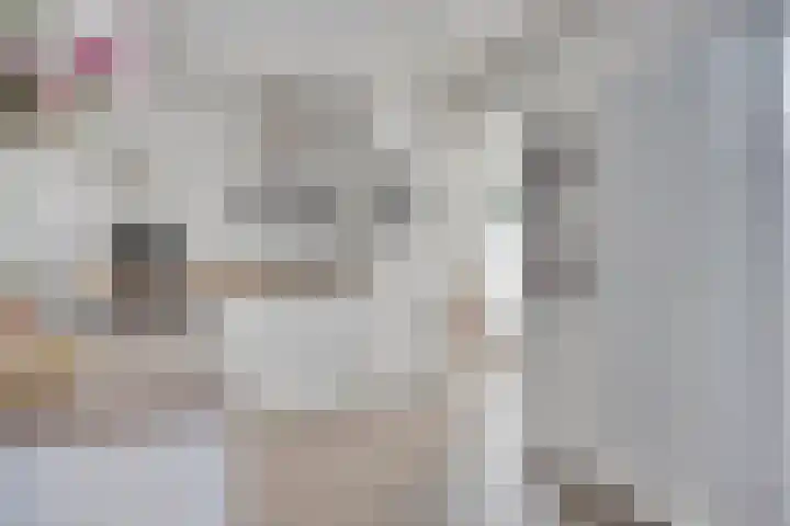 Warmelo 9 Losser thumbnail 19