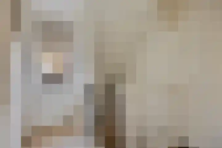 Warmelo 9 Losser thumbnail 23