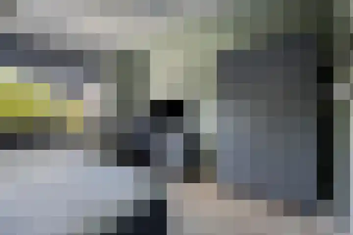 Warmelo 9 Losser thumbnail 30