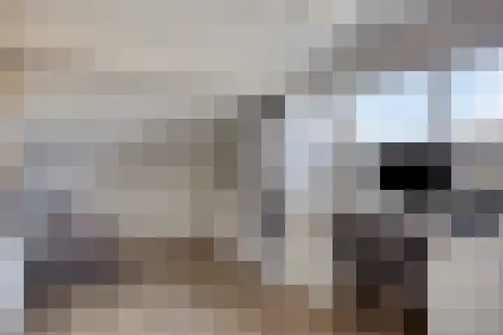 Warmelo 9 Losser thumbnail 34