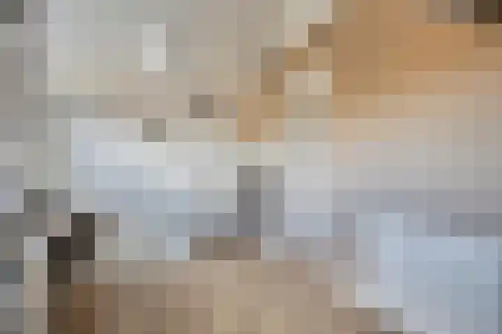Warmelo 9 Losser thumbnail 35