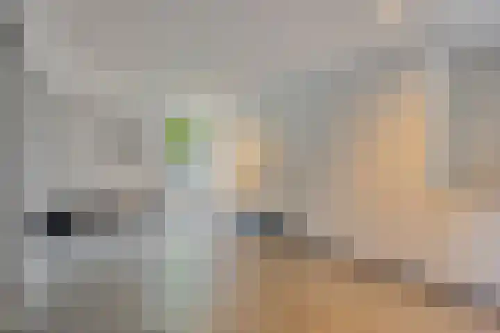 Warmelo 9 Losser thumbnail 39