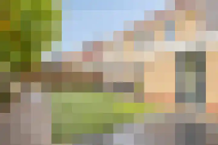 Warmelo 9 Losser thumbnail 41
