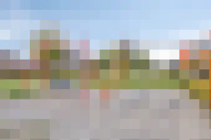 Warmelo 9 Losser thumbnail 44