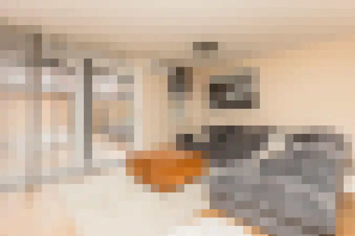 Warmelostraat 15 Rotterdam thumbnail 10