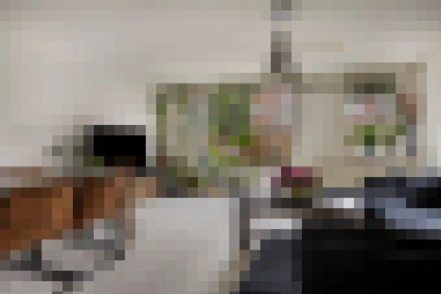 Warmelostraat 51 Rotterdam thumbnail 4