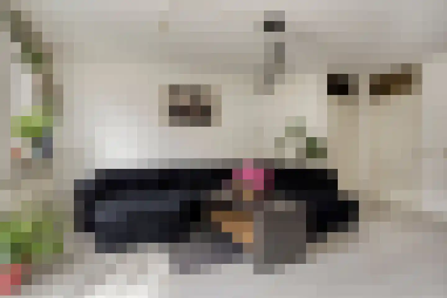 Warmelostraat 51 Rotterdam thumbnail 5