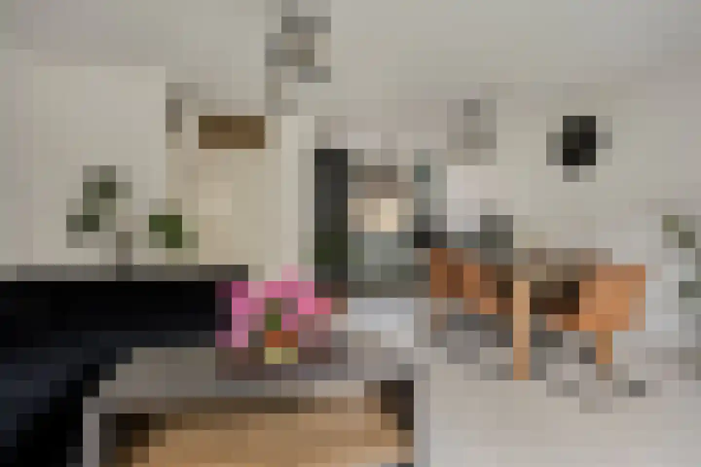Warmelostraat 51 Rotterdam thumbnail 6