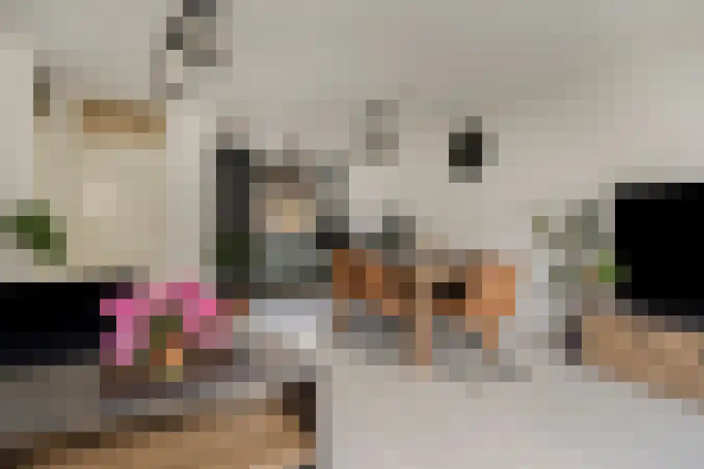 Warmelostraat 51 Rotterdam thumbnail 7
