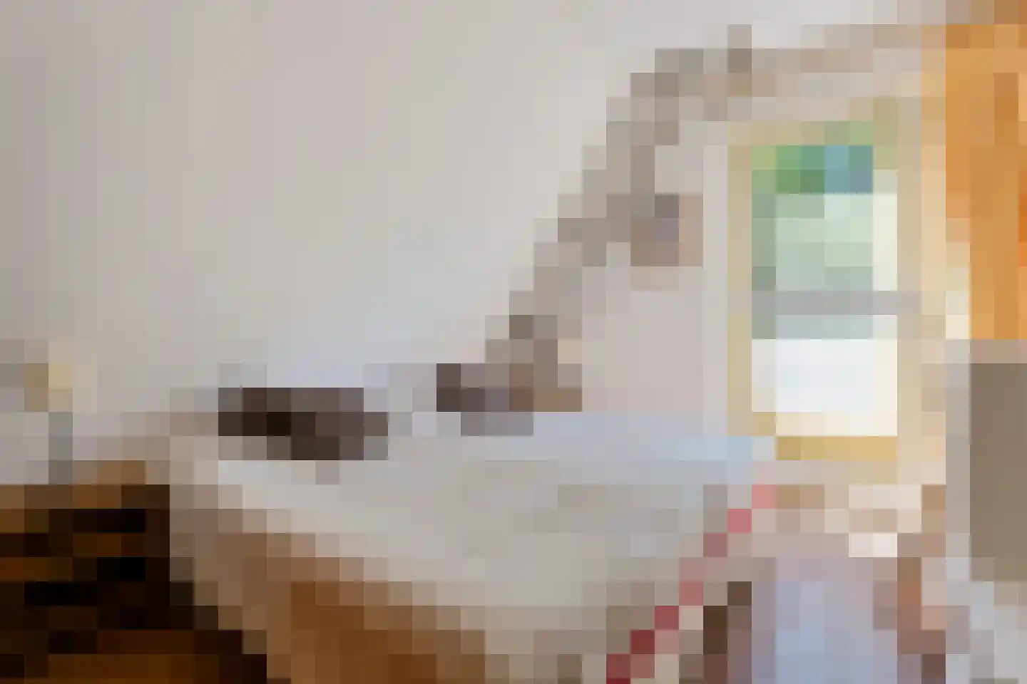 Warmenbossenweg 3 26 Schoonloo thumbnail 20