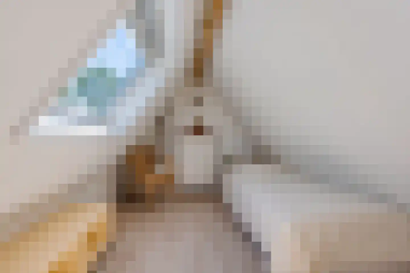Warmenbossenweg 3 26 Schoonloo thumbnail 30