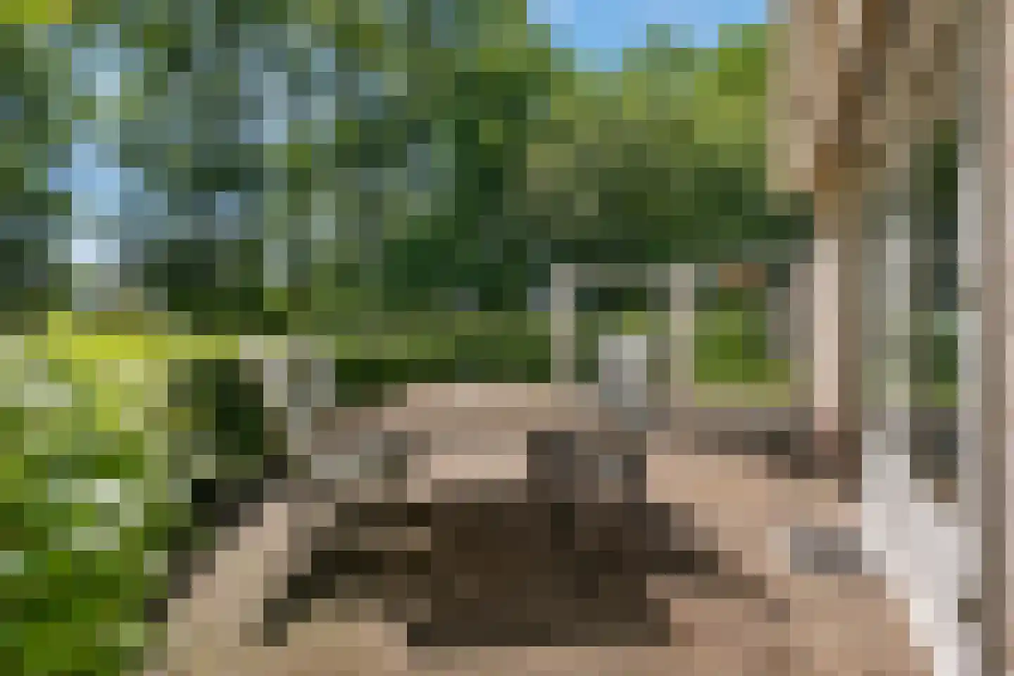 Warmenbossenweg 3 26 Schoonloo thumbnail 31