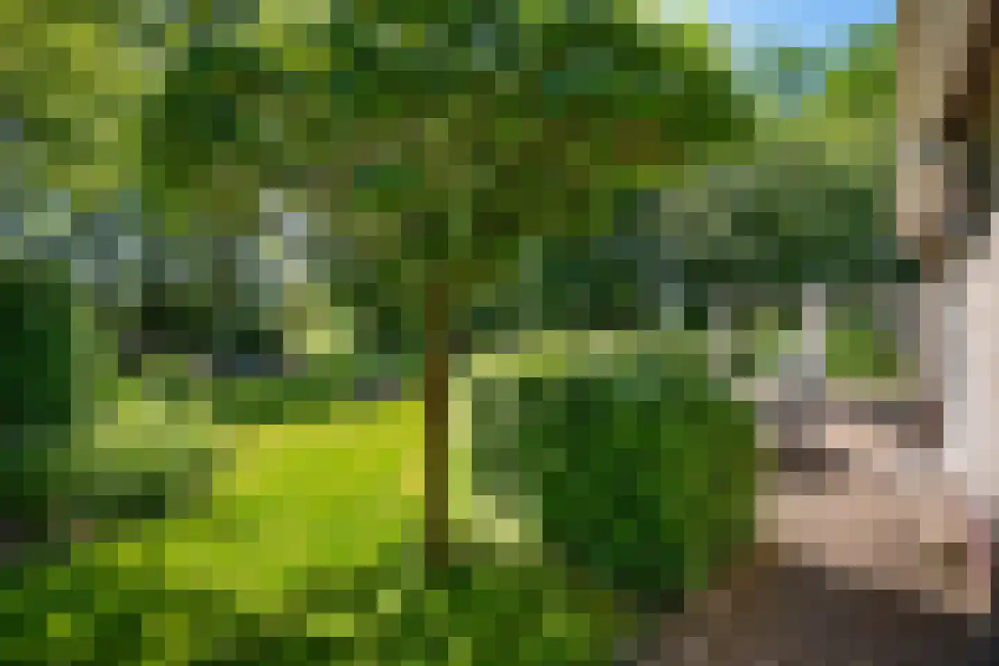 Warmenbossenweg 3 26 Schoonloo thumbnail 32