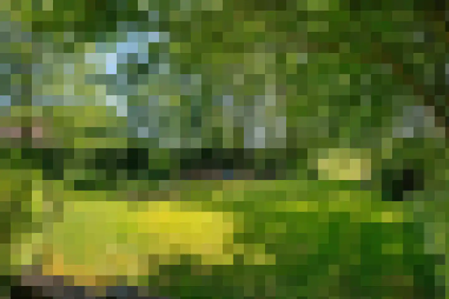Warmenbossenweg 3 26 Schoonloo thumbnail 33